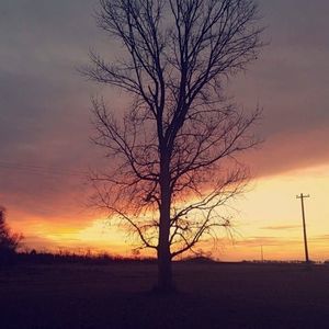 Meet your Posher, Ashlyn